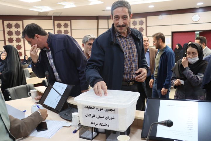 دانشگاه مراغه