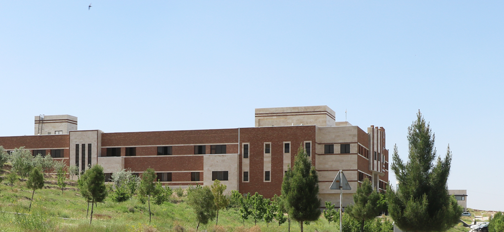 First Responsive Image