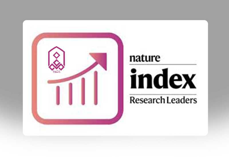 دانشگاه مراغه رتبه 17 در سال 2025 را کسب کرد